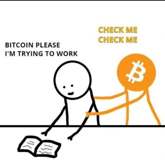 169fa6c8e95e9bd8af5c87fc20fec22025ff14b61acfcb84b4f7fc350e7af867.jpg