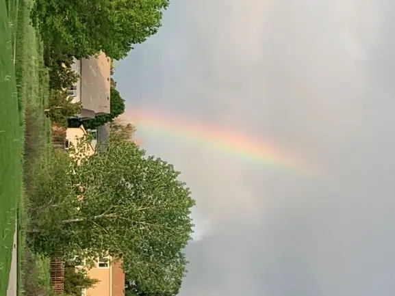 One of Colorado Springs's beautiful neighborhoods