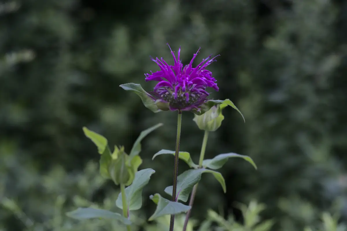 6b064dfe6654eb60c4d04cec81cfdb26c960a81fbbc8d5dbcc0fbc6fb31420b1.jpg