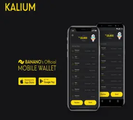 Figure 2. Kalium Phone Wallet