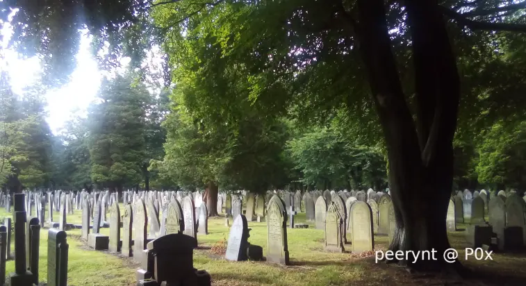 Tombstones in Southern Cemetery, Manchester, UK