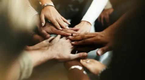 collaboration