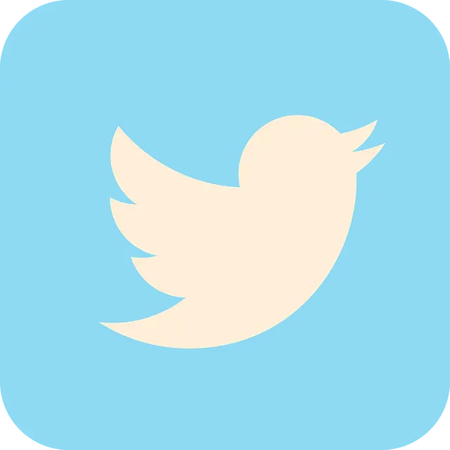 twitter, social media, jack dorsey