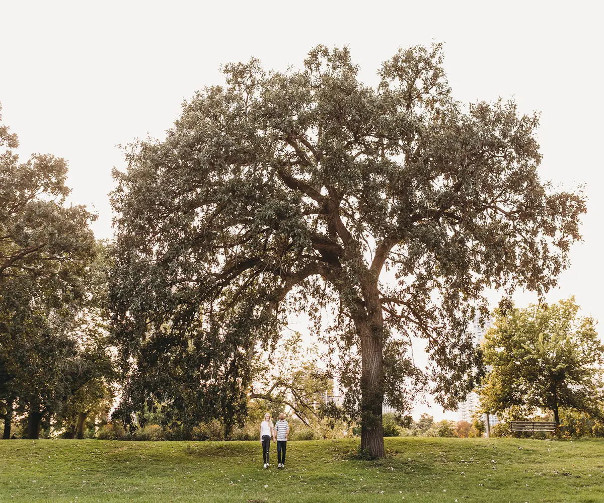 couple walking under tree in lincoln park
