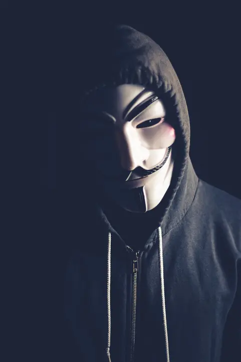 351665157-fc76d2ebaf977ce87d34f303298ce8b7433ca3bd192edb65a2a029770153909c.jpeg