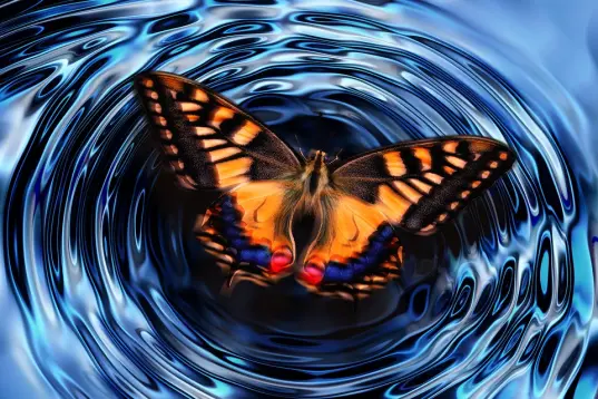 Butterfly Effect
