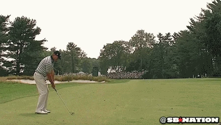 351665157-4e9f06e2fae53691bd2d8e95a18286847d8fec37e9e3ab2d3ca4757e44b85331.gif