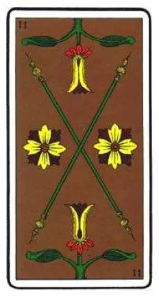 2 Of Wands