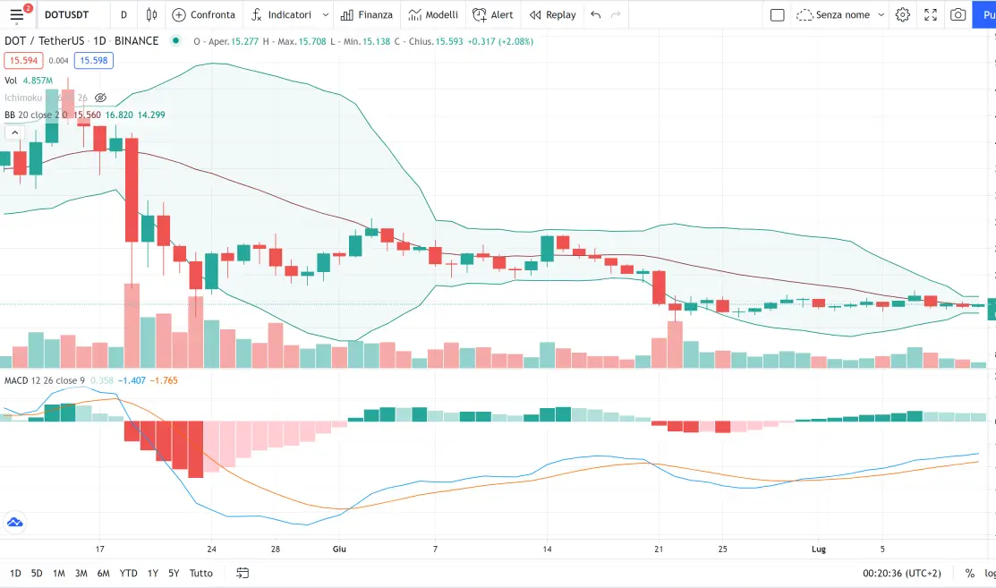 polkadot bear market