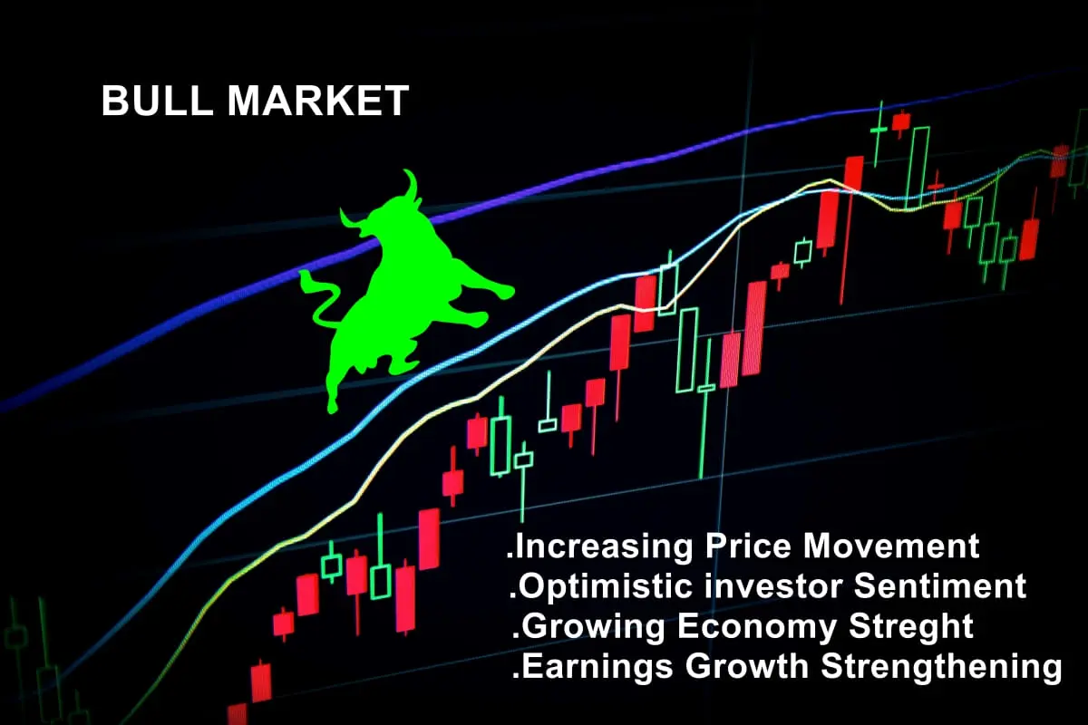 Bull market features