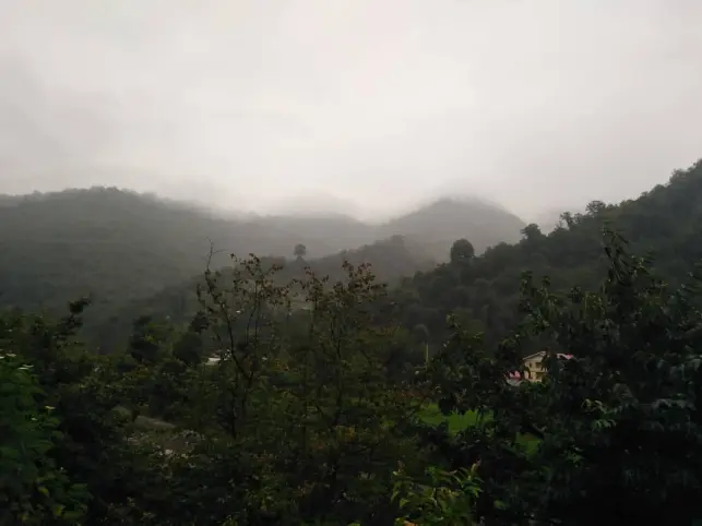After Weeks of Heat and Drought... It Finally Rained