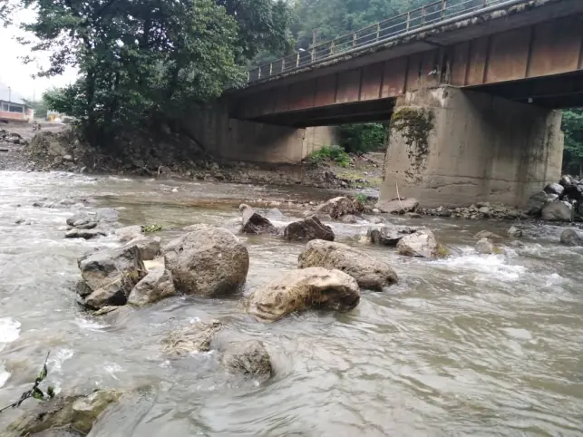 After Weeks of Heat and Drought... It Finally Rained