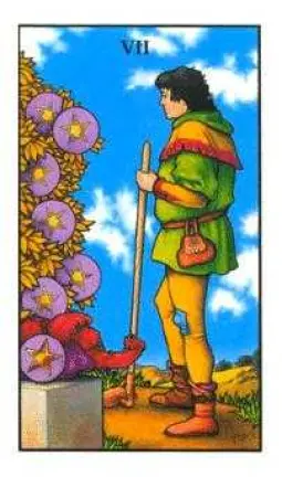7 Of Pentacles Upright