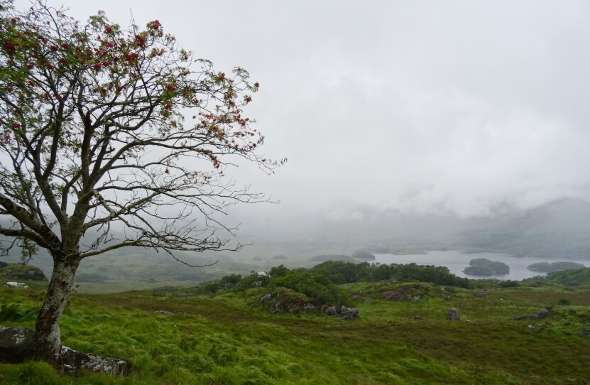 Ireland