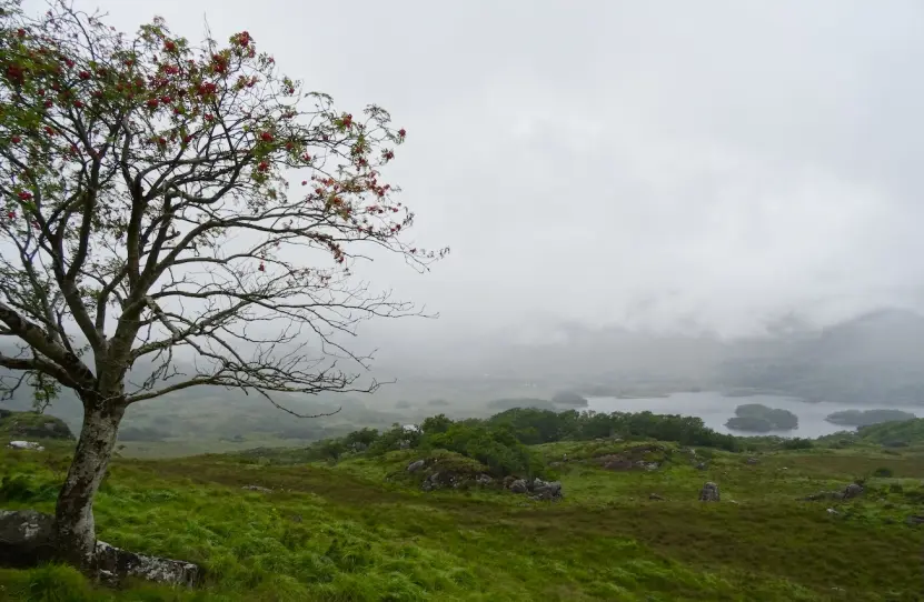 Ireland