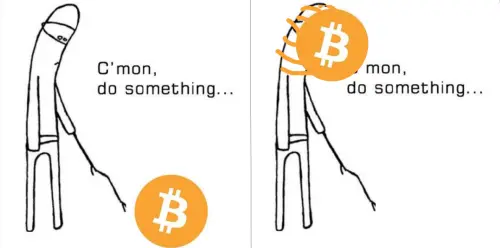 91d475974d1faecebf0cb1857da5935ba8e9d5371164e349e56ad0cff0d61146.png