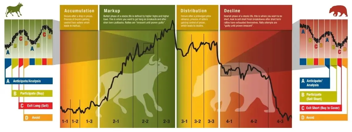 crypto market stages