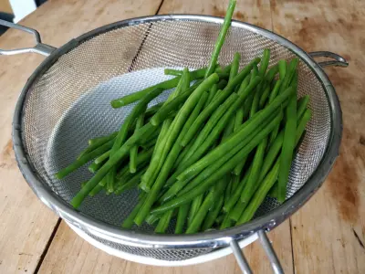 fine beans