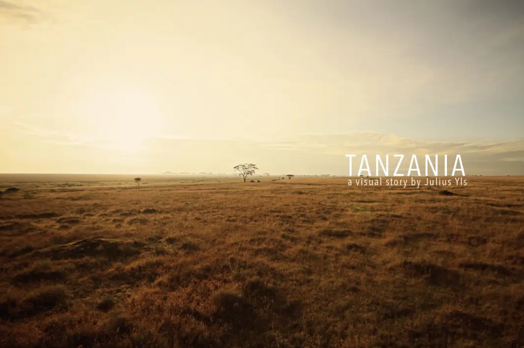 Serengeti plain in Tanzania