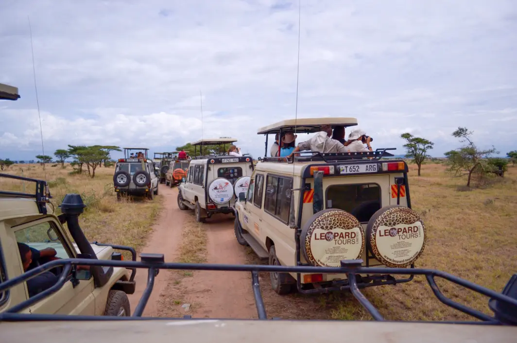 Safari tourists in Tanzania