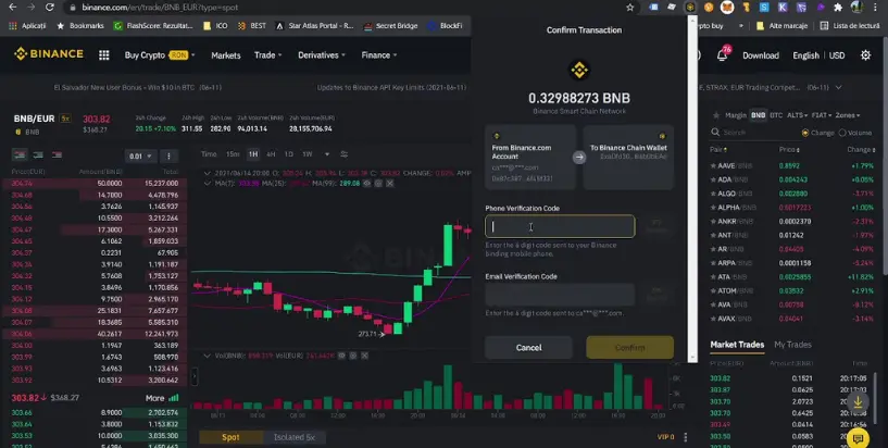 Sappchat ICO - Binance Smart Chain wallet pay