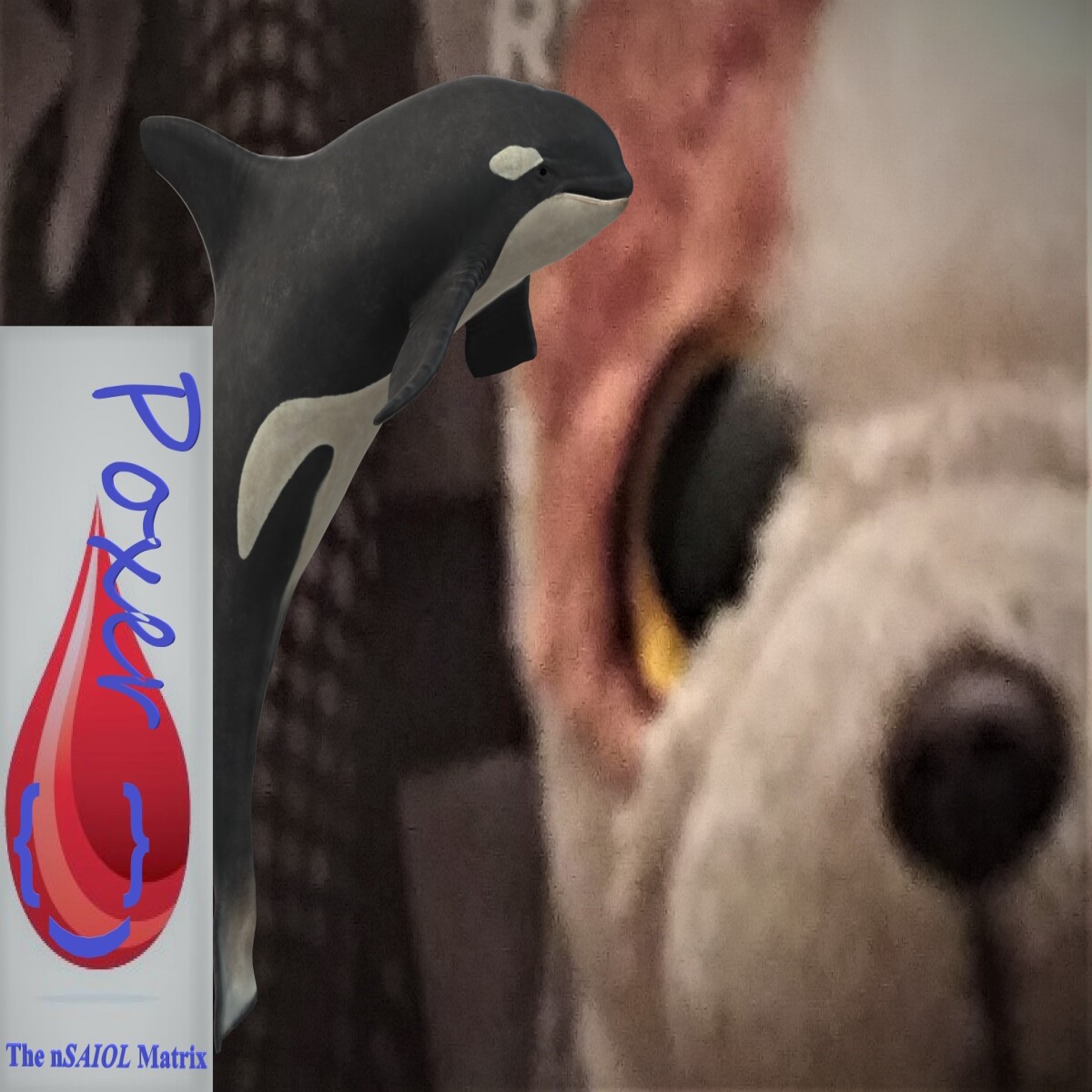 e09fe6e2c113e5fbbe4845ae73f77d0be6bb425eefaa5e5b4823776beeee6d52.jpg
