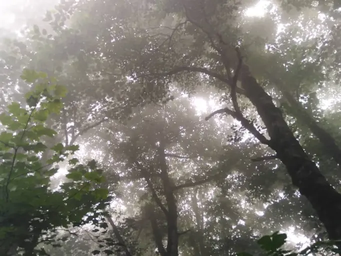 Mountain village of “Asalem” in Talesh- Iran – Through the Haze