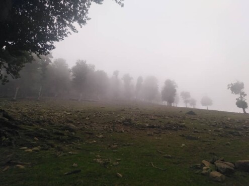 One of The Most Dreamy Routes & Fog | Asalem-Khalkhal |