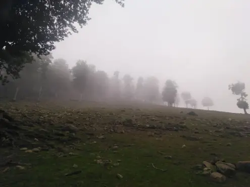 One of The Most Dreamy Routes & Fog | Asalem-Khalkhal |