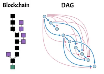 Dagos an have multiple