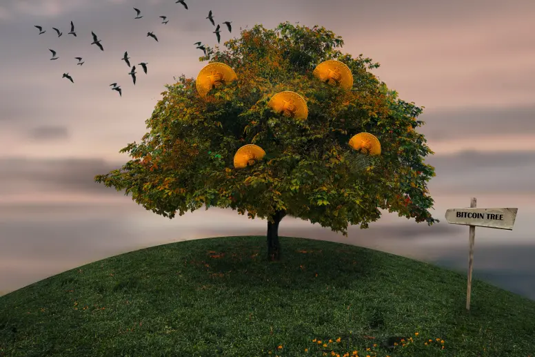 Stock photo from Pixabay