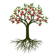 tree fruit