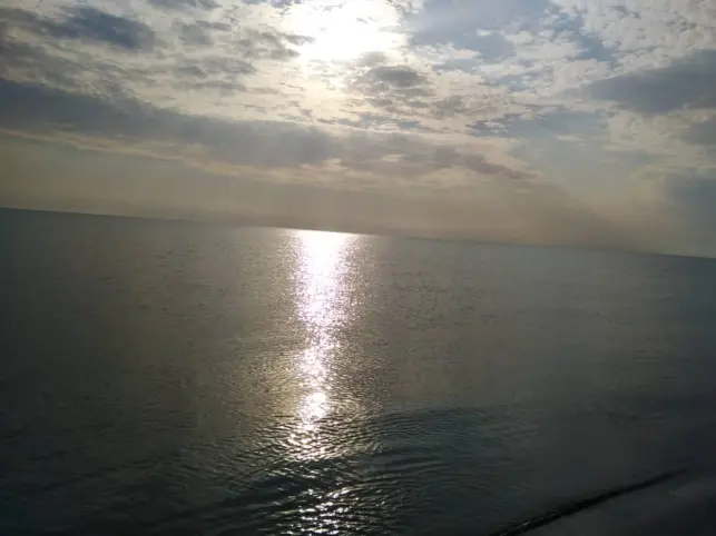 Green Land, Waves That Shine, Then Moans of Death