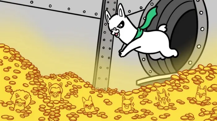 Alpaca jump in money pool
