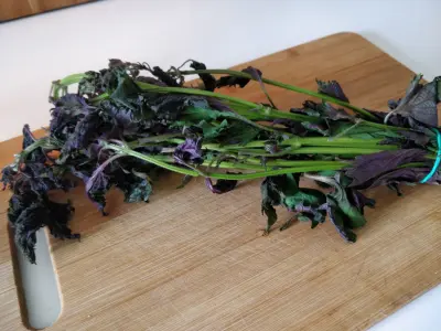 shiso dead
