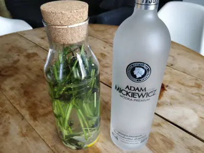 shiso vodka