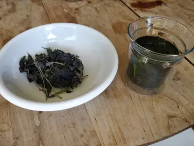 shiso tea