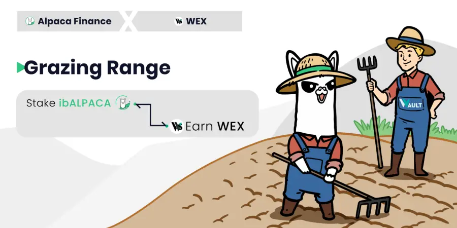 Alpaca farmer