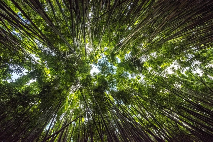 351665157-1cc97055f300027ae0b312fb00be6af8bde72507aa88188865f00b8a5a8d29a0.jpeg