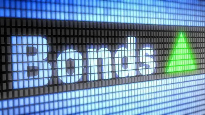 Stock and bond