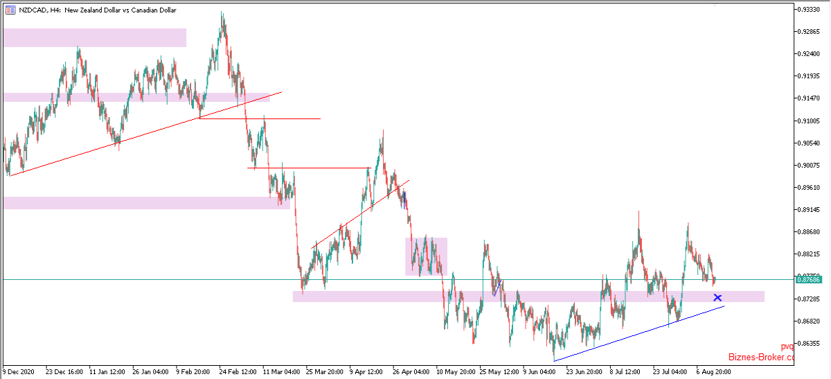nzdcad