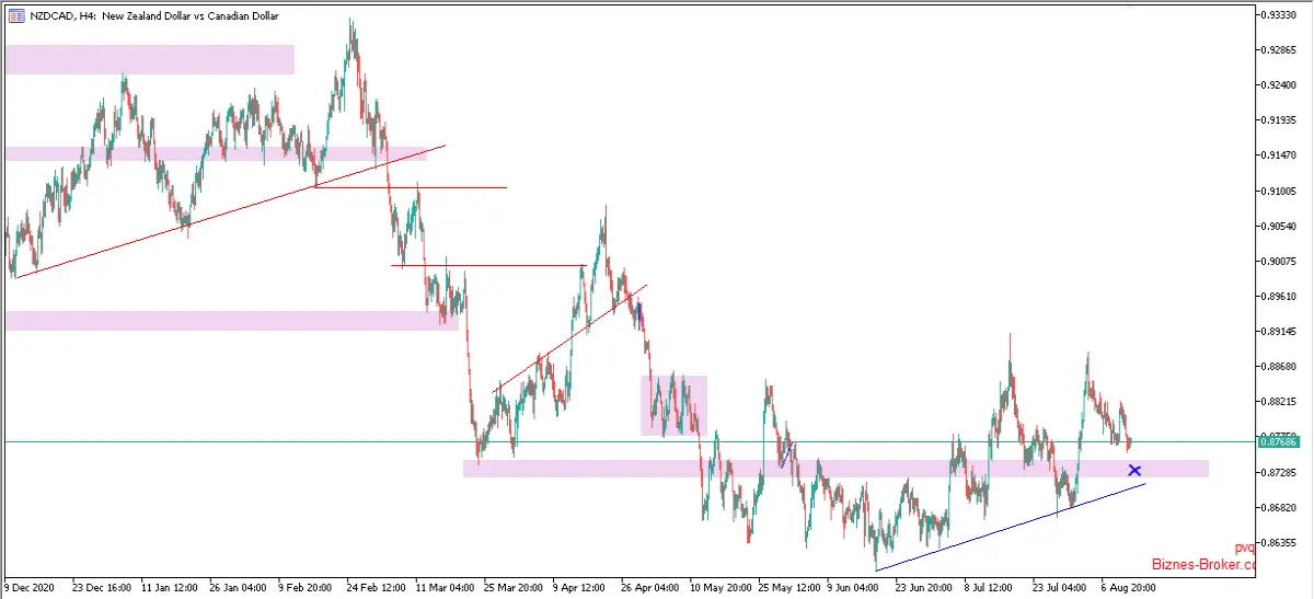 nzdcad