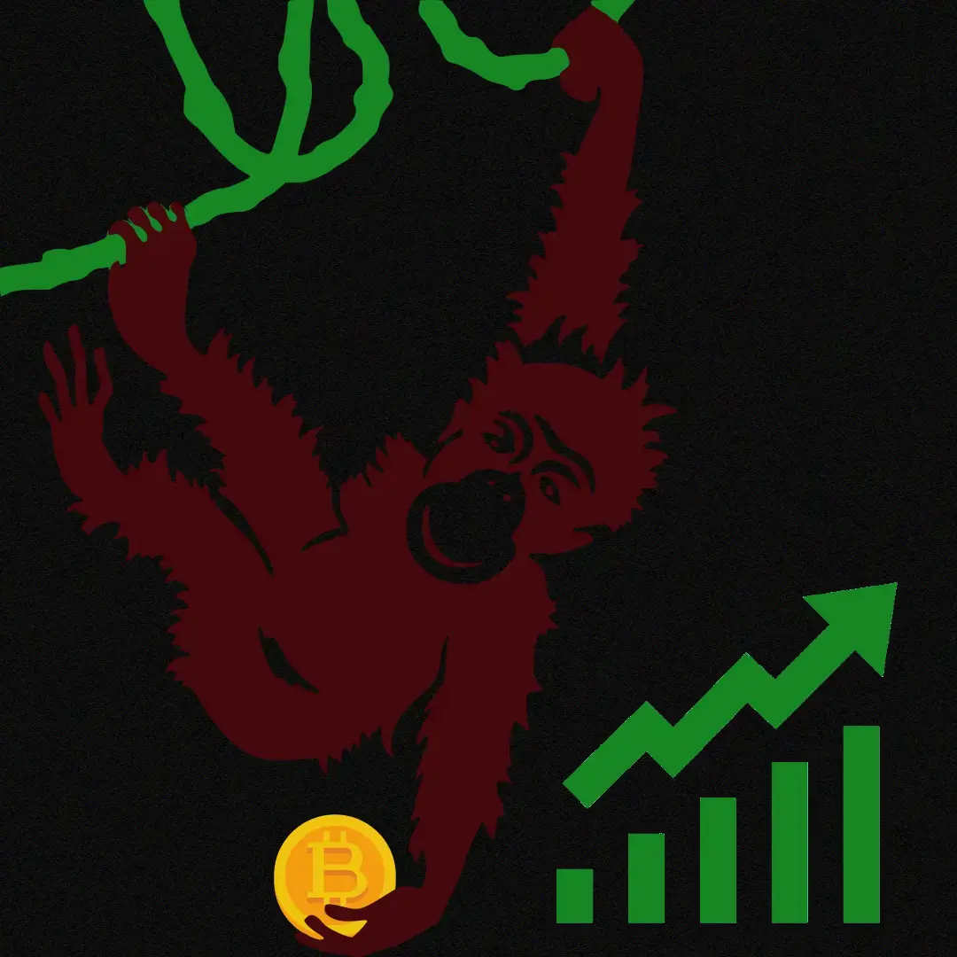 Monkey Swinging Representing Bitcoin Uptrend