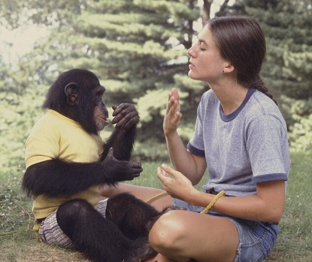 smart ape