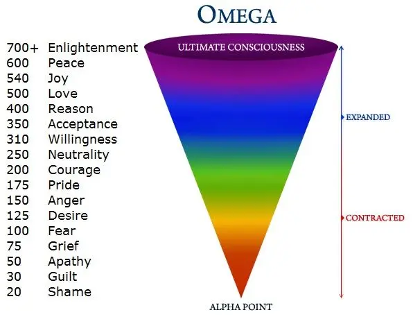 Vibrational Frequency