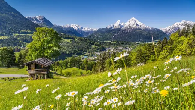 Nature Raises Vibration