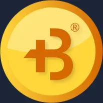 BIGtoken Coin Logo provided via BIGtoken twitter account.