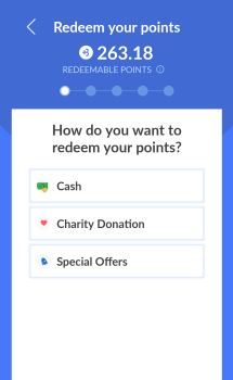 Overview of BIGtoken redemption options