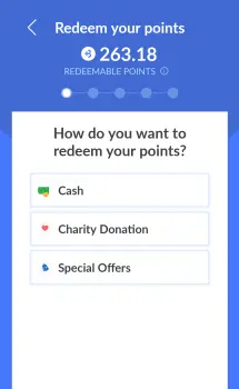 Overview of BIGtoken redemption options