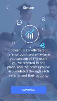 BIGtoken Stream Section INFO